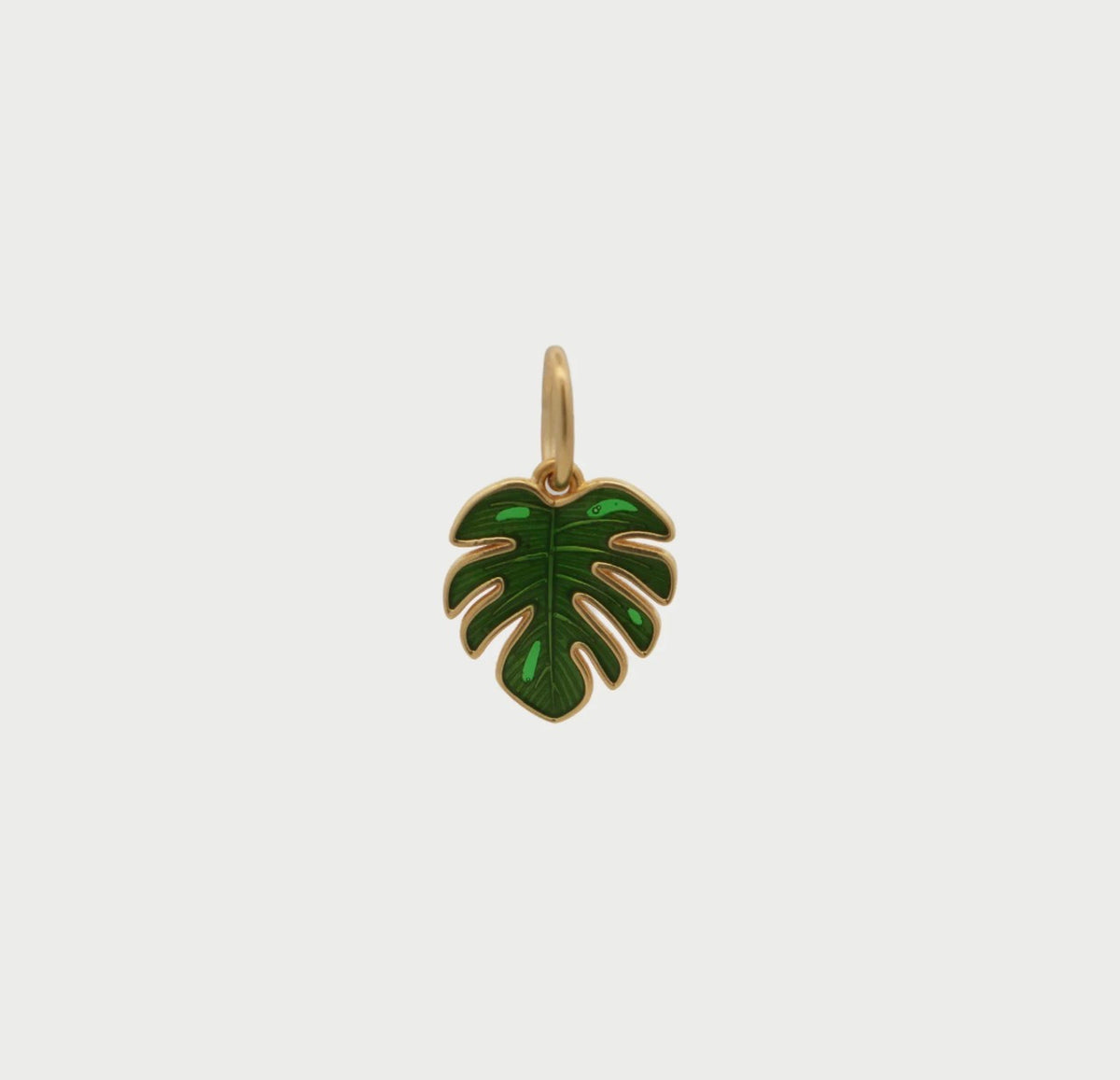 Charm Rue des Mille Charm bar Foglia tropicale