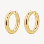 Orecchini Brosway donna Cerchio bombato gold