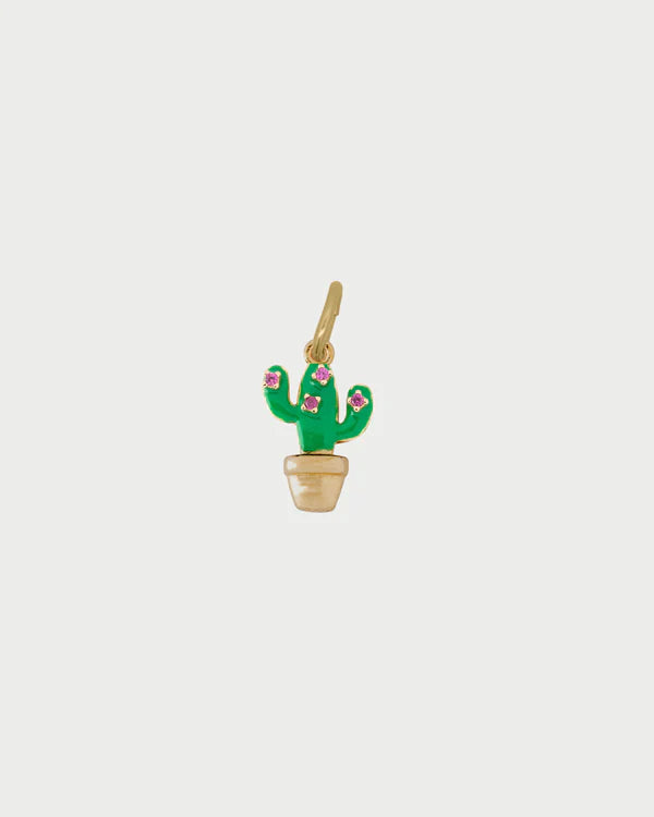 Charm Rue des Mille CHARMBAR Cactus