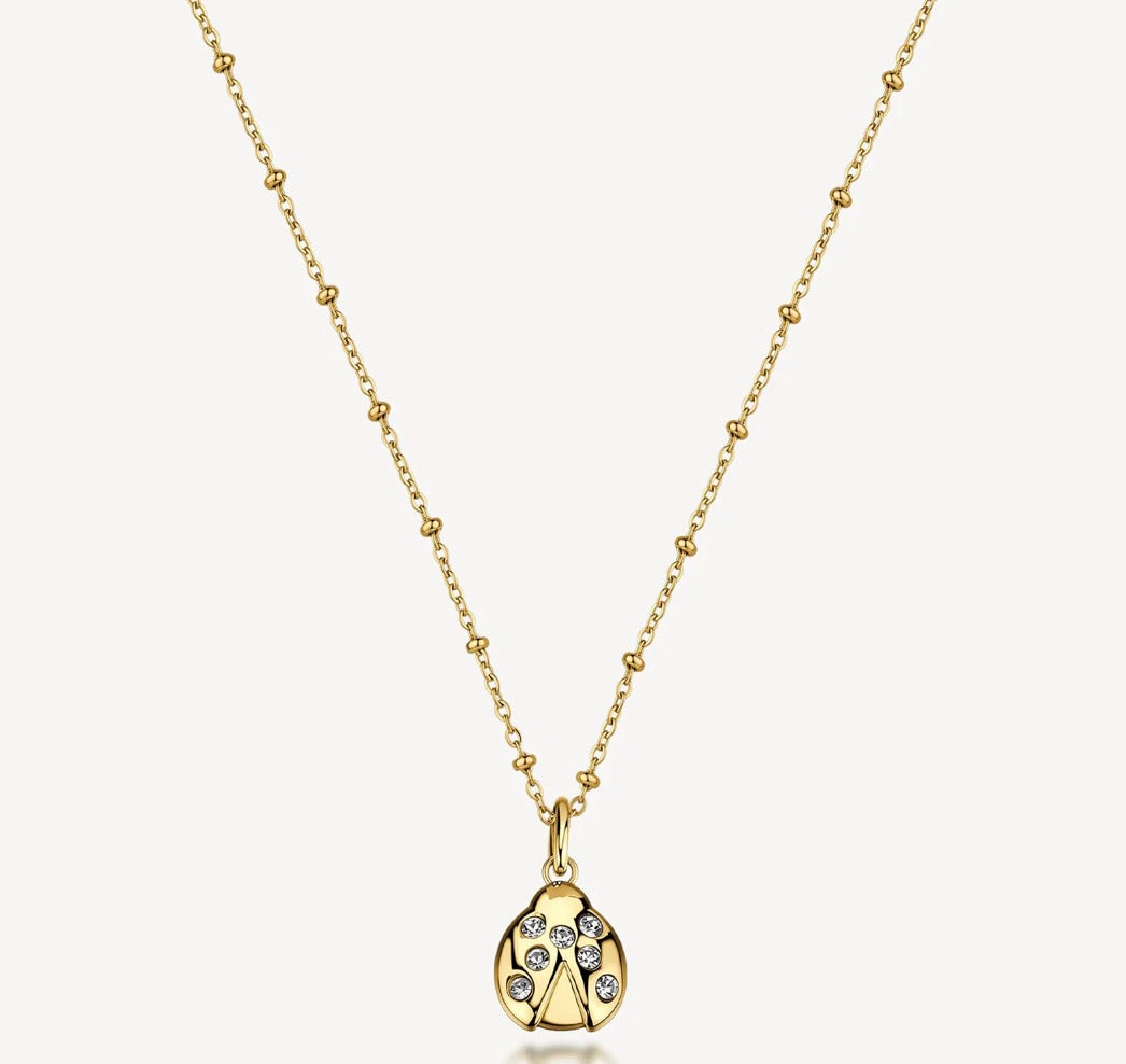 Collana Brosway Chakra Fortuna coccinella