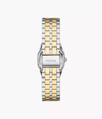 Orologio Fossil donna Harlow 27mm