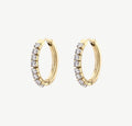 Orecchini donna Brosway Desideri gold