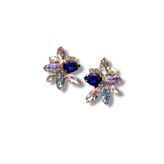Orecchini Diamond Accessori Papillon Blu e rosa
