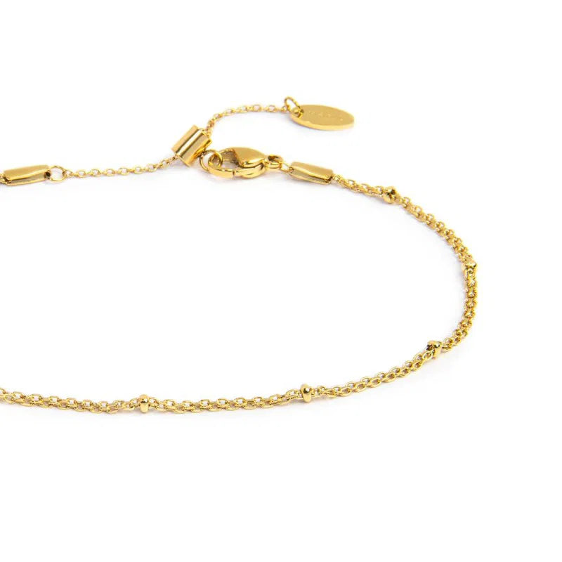 Cavigliera Marlù  catena mesh e anelli in acciaio gold