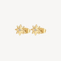 Orecchini Brosway donna Chakra Gold