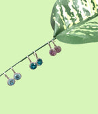 Orecchini Rocce Donna Crown
